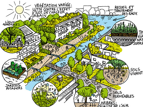 découvrez les espaces verts et initiatives écologiques du 3e arrondissement de paris : où profiter de la nature en ville dans le 75003, adresses et conseils pour une vie urbaine plus verte.